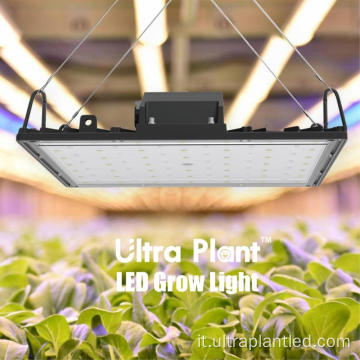 Deep Red Grow Light Indoor per la fioritura